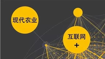 農(nóng)業(yè)互聯(lián)網(wǎng)掘金時(shí)代，數(shù)據(jù)服務(wù)商扮演“賣水人”角色