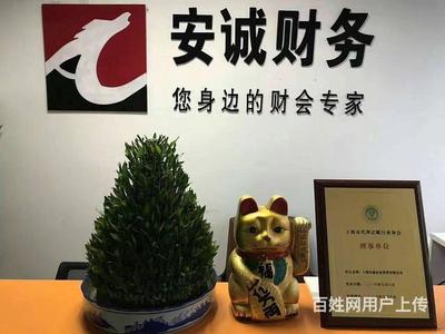 專業(yè)賦能，穩(wěn)健前行——楊浦區(qū)企業(yè)財(cái)務(wù)服務(wù)首選安誠(chéng)財(cái)務(wù)王會(huì)計(jì)